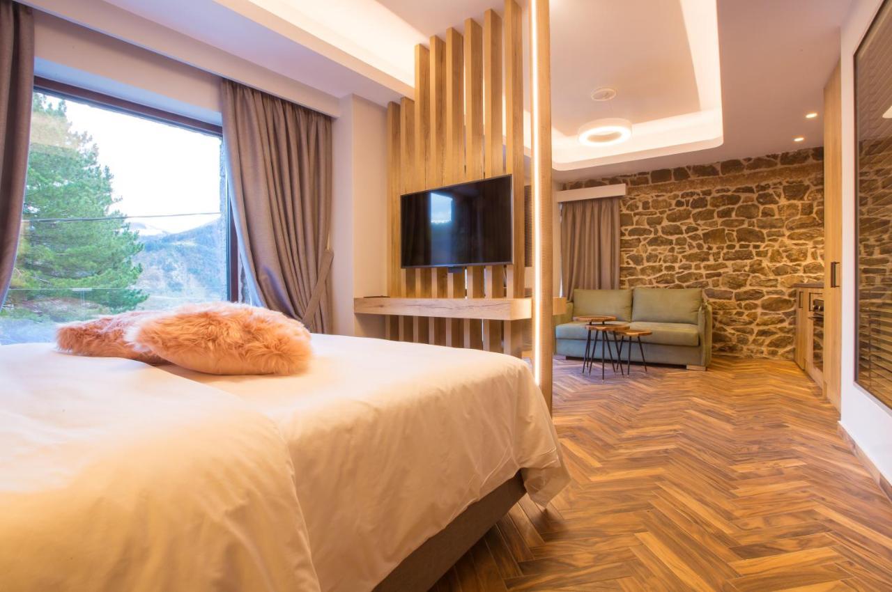 Adryades Luxury Apartments Metsovo Exteriör bild