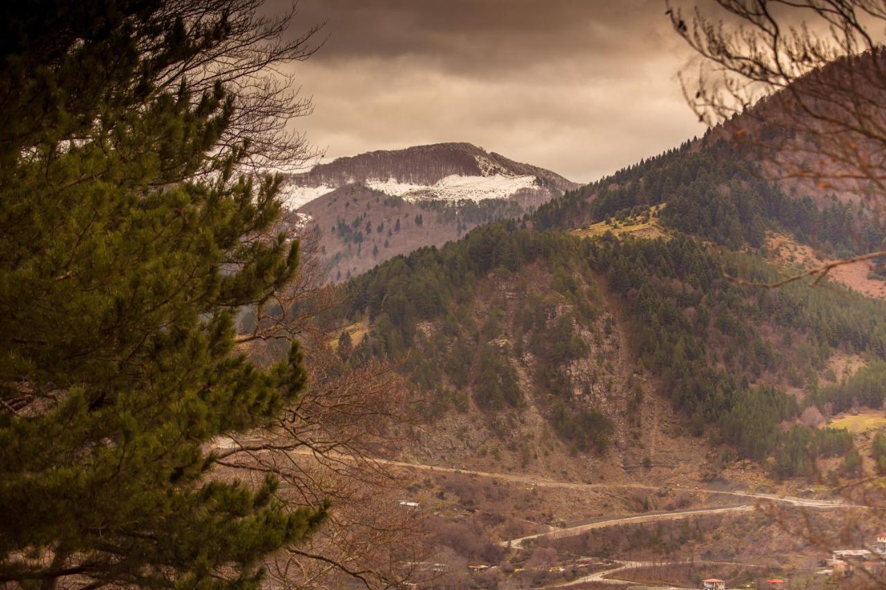 Adryades Luxury Apartments Metsovo Exteriör bild