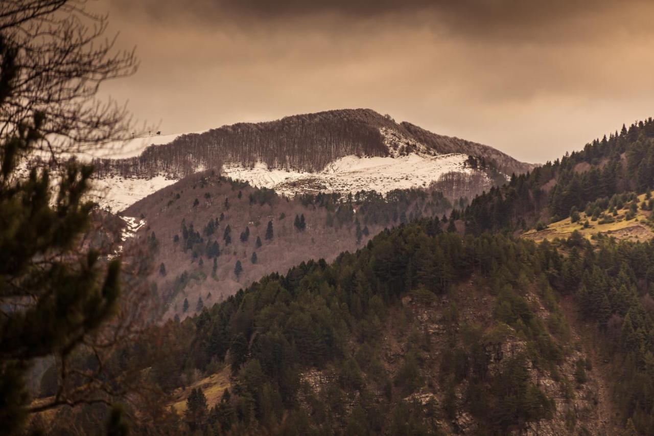 Adryades Luxury Apartments Metsovo Exteriör bild