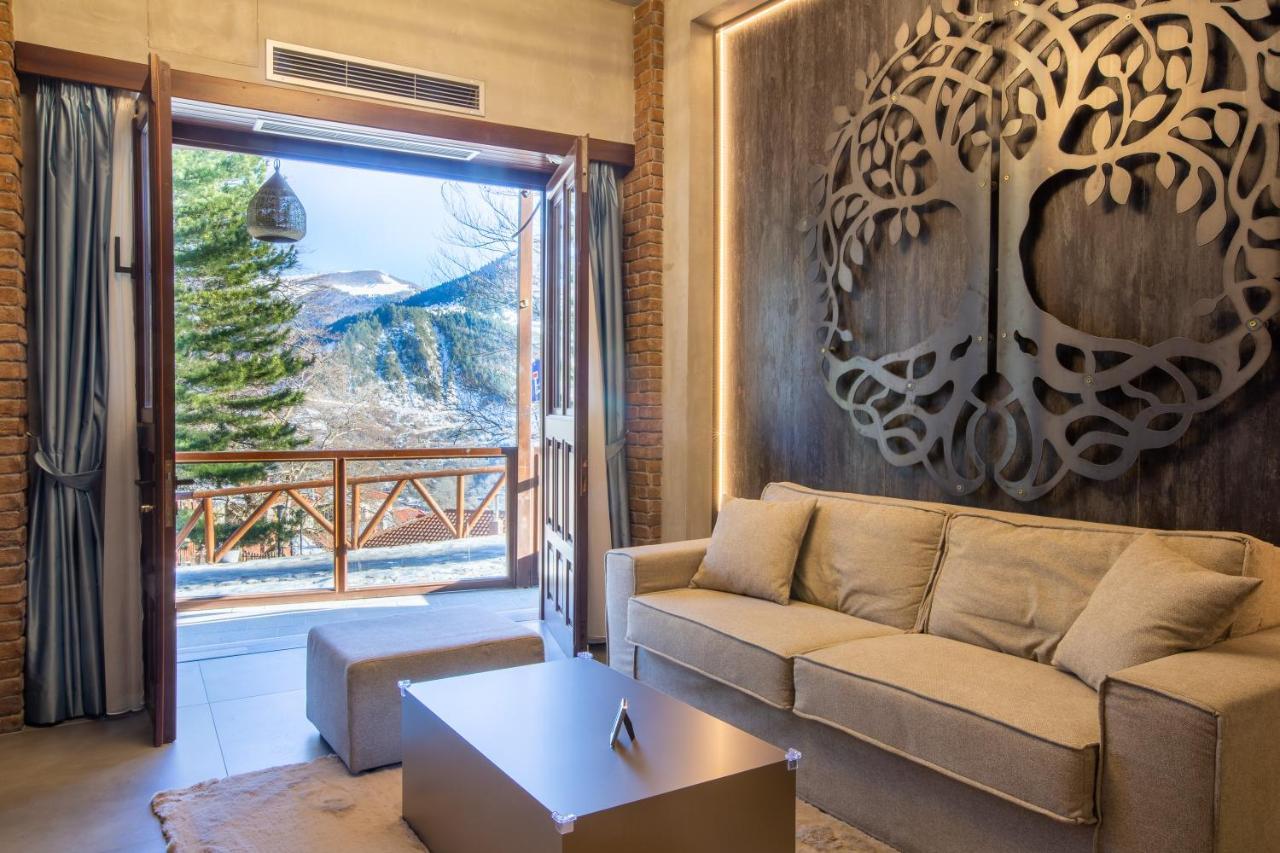 Adryades Luxury Apartments Metsovo Exteriör bild