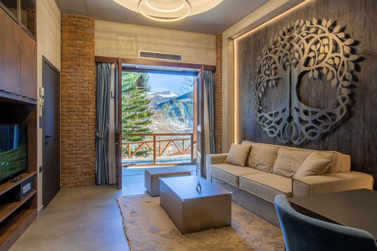 Adryades Luxury Apartments Metsovo Exteriör bild