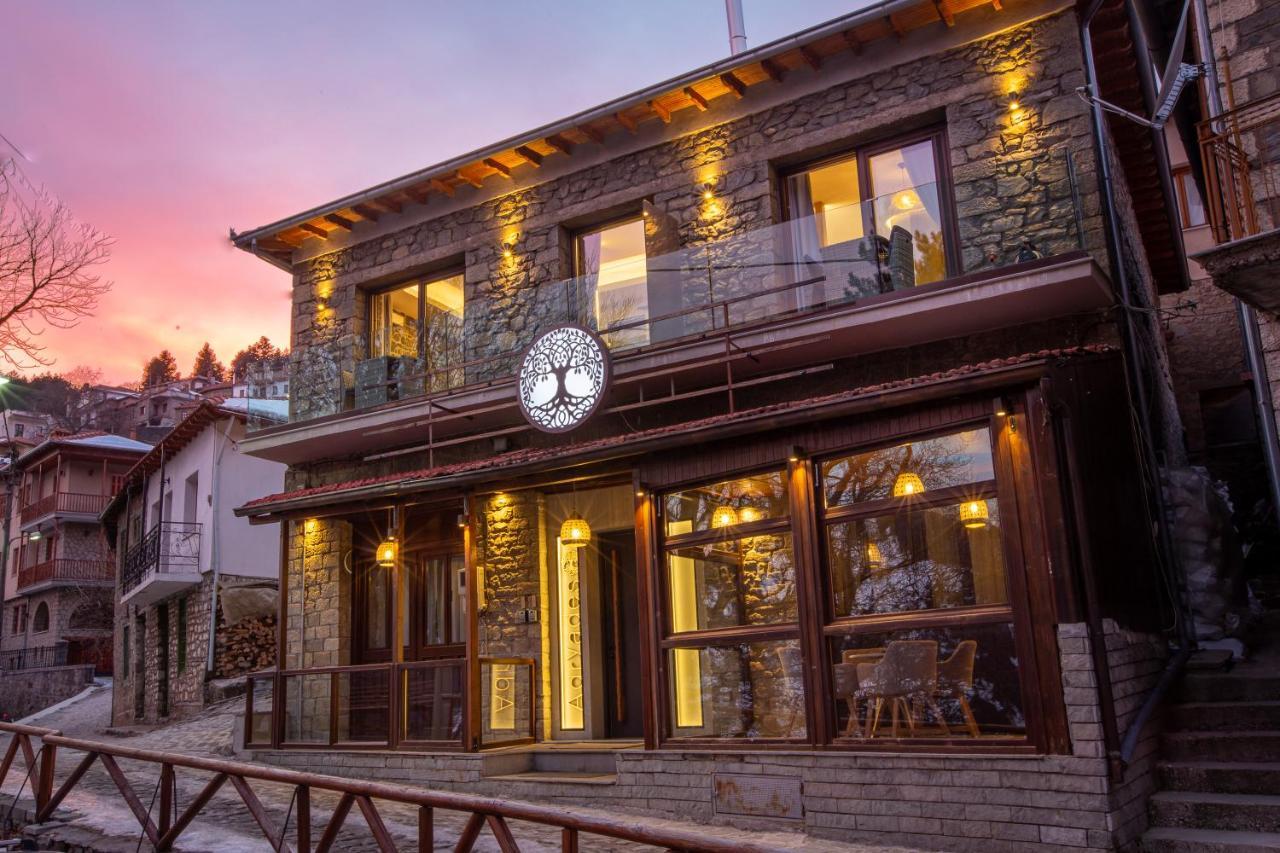 Adryades Luxury Apartments Metsovo Exteriör bild